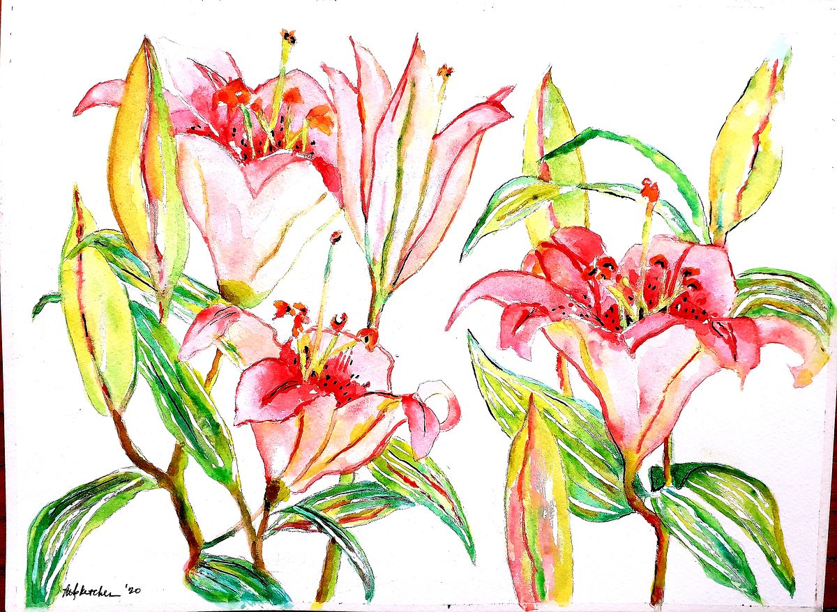Pink Lilies
