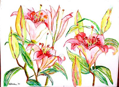Pink Lilies